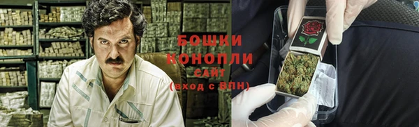 ПСИЛОЦИБИНОВЫЕ ГРИБЫ Балахна