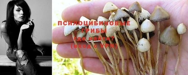 марки nbome Балабаново