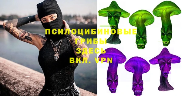 ПСИЛОЦИБИНОВЫЕ ГРИБЫ Балахна